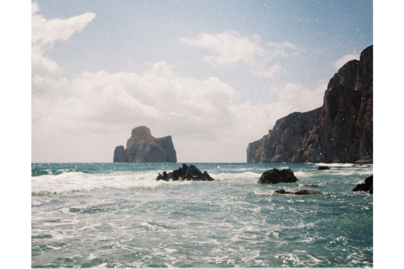 Lomography Color Tiger ISO 200 110 彩色負片 f110c1 （一盒一卷） /f110c3 （一盒三卷）