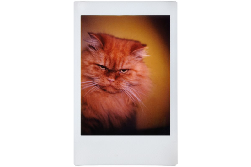 Lomography  Lomo'Instant Automat Glass Magellan 廣角玻璃鏡頭即影即有相機 li870b