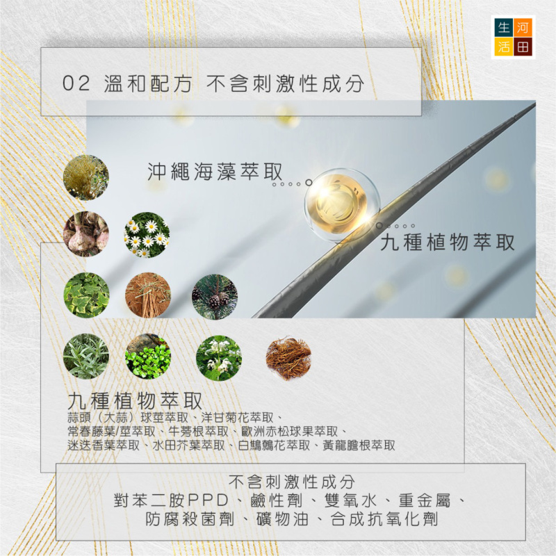 日本製光環LUMINA Magic Neo 陽光染髮霜 HAIRCOLOR RETOUCH 便攜式髮根光染髮劑 套裝|可免沖洗敏感頭皮UV 白髮救星 SII升級 香港行貨