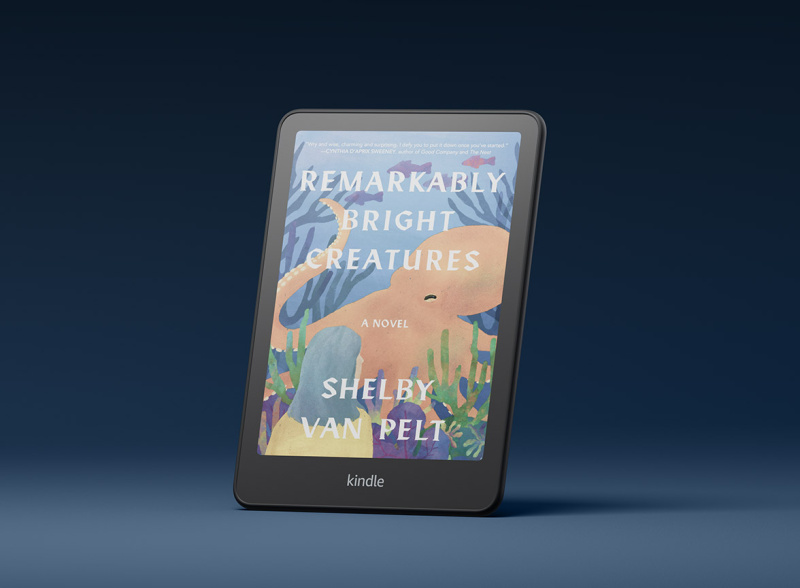 2025 | Kindle Colorsoft 彩色電子閱讀器 16G 黑