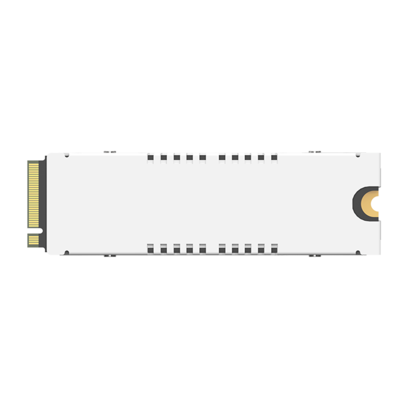 Biwin Black Opal X570H PRO Heatsink 4TB Gen5 M.2 2280 固態硬碟