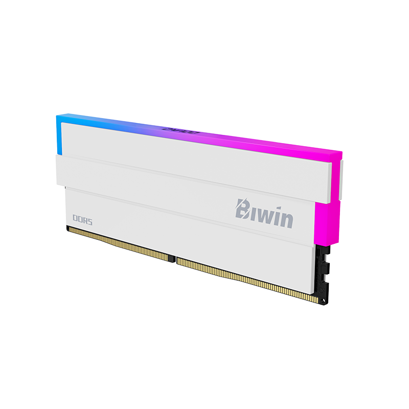Biwin DW100 DDR5 6000MT/s16GB×2枚CL28 Biwin DW100 DDR5 6000MT/s16GB×2枚CL28 1-biwin-dw100-memory