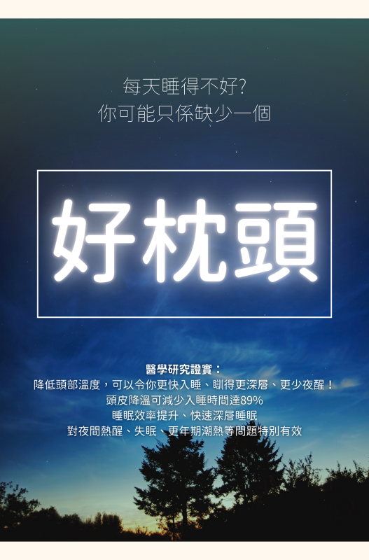 Dr. Dream 凝膠健康枕頭 護頸枕頭 N300