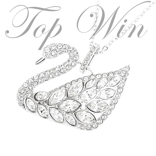 Swarovski 施華洛世奇 SWAN LAKE 頸鏈 5169080 銀色 白金 平行進口