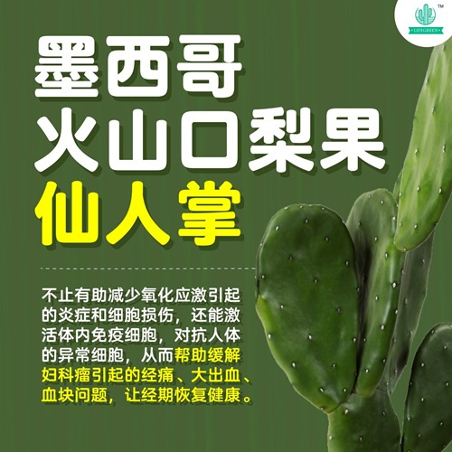 LifeGreen 仙人掌粉健康飲品全新升級版(馬來西亞直送&馬來西亞製造) LifeGreen 仙人掌粉健康飲品全新升級版(馬來西亞直送&馬來西亞製造)