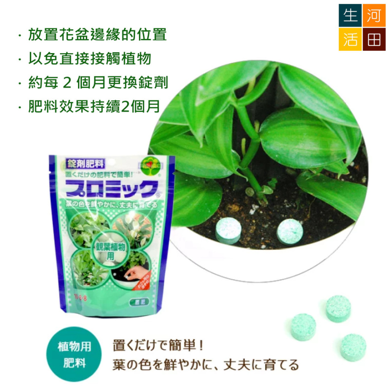 HYPONeX 日本花寶 10-8-8 觀葉植物放置肥料(150g)|錠劑園藝肥料|簡易包裝無味粒狀養分