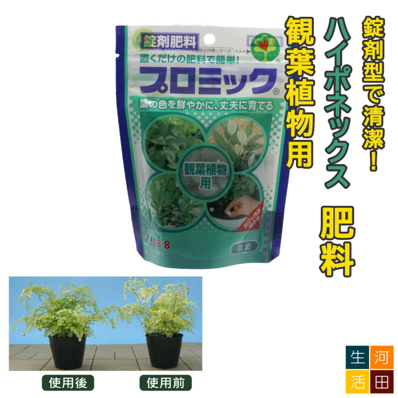 HYPONeX 日本花寶 10-8-8 觀葉植物放置肥料(150g)|錠劑園藝肥料|簡易包裝無味粒狀養分