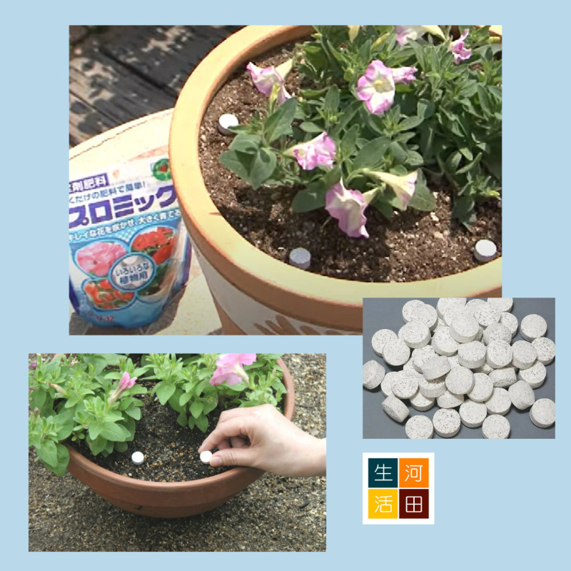 HYPONeX 日本花寶 12-12-12 通用植物肥料(150g)|錠劑園藝肥料|簡易包裝無味粒狀養分|生根發芽開花生長