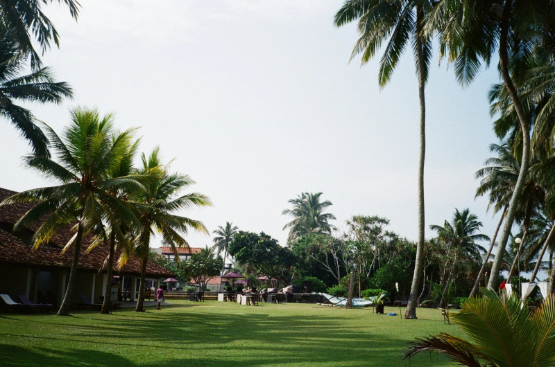 RETOCOLOR Prism 400, 36 Exp 35mm Film