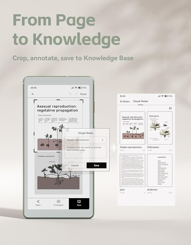 【現貨】Viwoods 6.13‘’  AiPaper Reader color  AI智能4G彩色墨水屏手機
