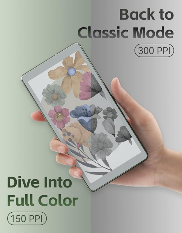 【現貨】Viwoods 6.13‘’  AiPaper Reader color  AI智能4G彩色墨水屏手機