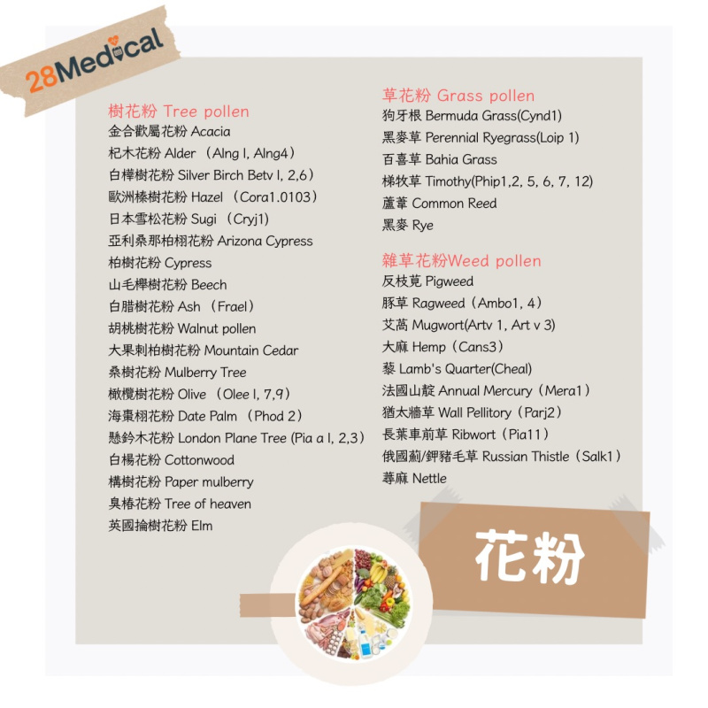 $6000新一代黴陣列過敏原IgE檢測 (送$800自選禮券)