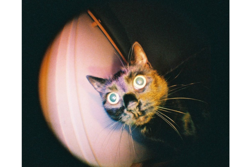 Lomography Fisheye Baby 110 菲林相機-型格黑色和銀色金屬版本 fcp110bm Lomography Fisheye Baby 110 菲林相機-型格黑色和銀色金屬版本 fcp110bm