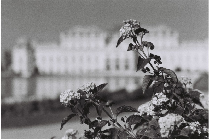 Lomography Berlin Kino B&W ISO 400 35mm 黑白電影菲林 f436bwcine