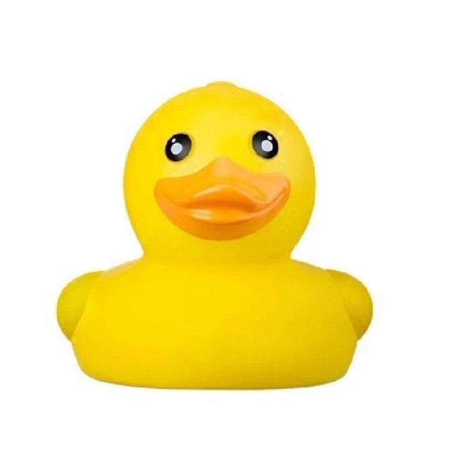 B&H 瑞士寶琪沐浴及浴室溫度計 ( 小鴨型) 229404【香港行貨】 B&H 瑞士寶琪沐浴及浴室溫度計 ( 小鴨型) 229404【香港行貨】