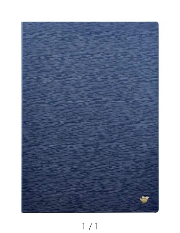 【限時送原裝套】科大訊飛 iFLYTEK AINOTE2 10.65 吋 AI 智能會議筆記本 (含觸控筆) 香港行貨 一年保養