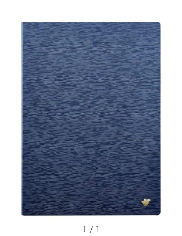 科大訊飛 iFLYTEK AINOTE2 10.65 吋智能會議筆記本專用保護套