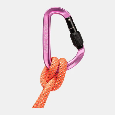 Mammut Classic HMS Screwgate Carabiner 梨形螺旋鎖登山扣