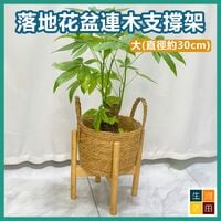 落地花盆連木質支撐架 客廳盆栽大花盆托架 陽台植物擺放架組合