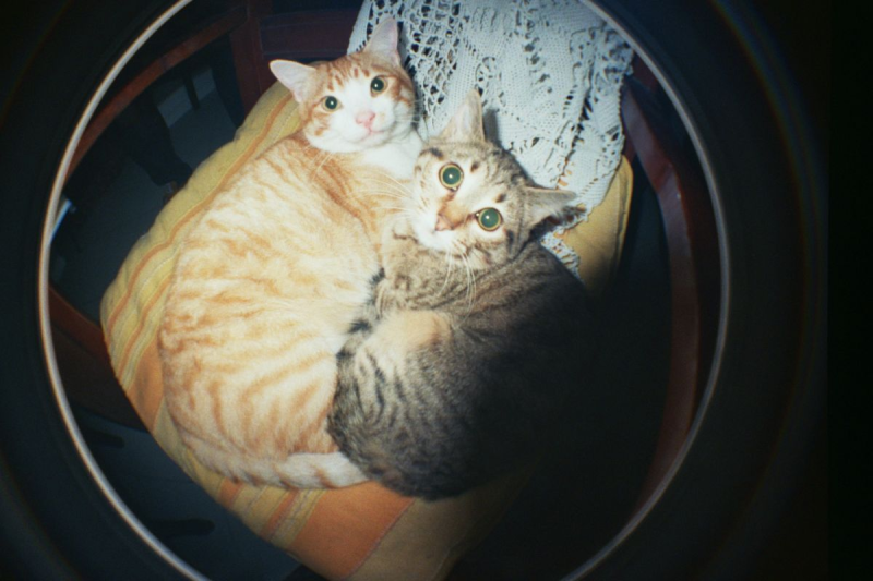 Lomography Fisheye No.2 35mm 第二代魚眼菲林相機-Rodeo Denim 版本 fcp200rodeo Lomography Fisheye No.2 35mm 第二代魚眼菲林相機-Rodeo Denim 版本 fcp200rodeo