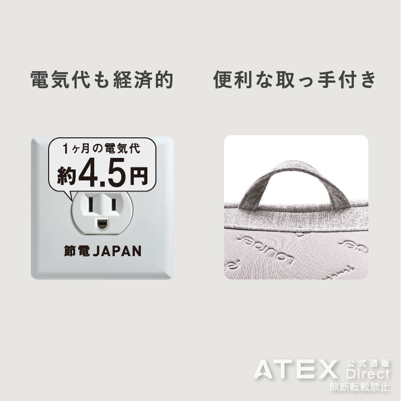Lourdes 3D Momi 按摩抱枕 AX-HCL310 Lourdes 3D Momi 按摩抱枕 AX-HCL310