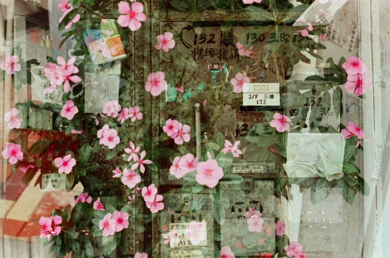 RETO Amber 320D Color Negative 27 Exp 35mm Cine Film彩色負片 27 Exp 35 毫米電影菲林