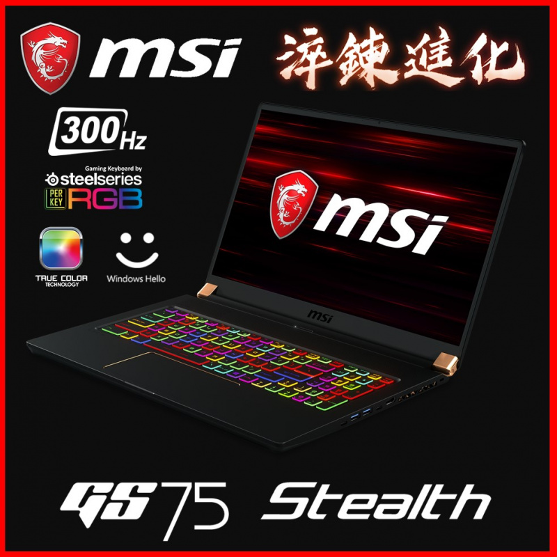MSI GS75 Stealth 10SGS 17.3"極致纖薄電競筆電( i9-10980HK / RTX2080 Super / 300Hz )
