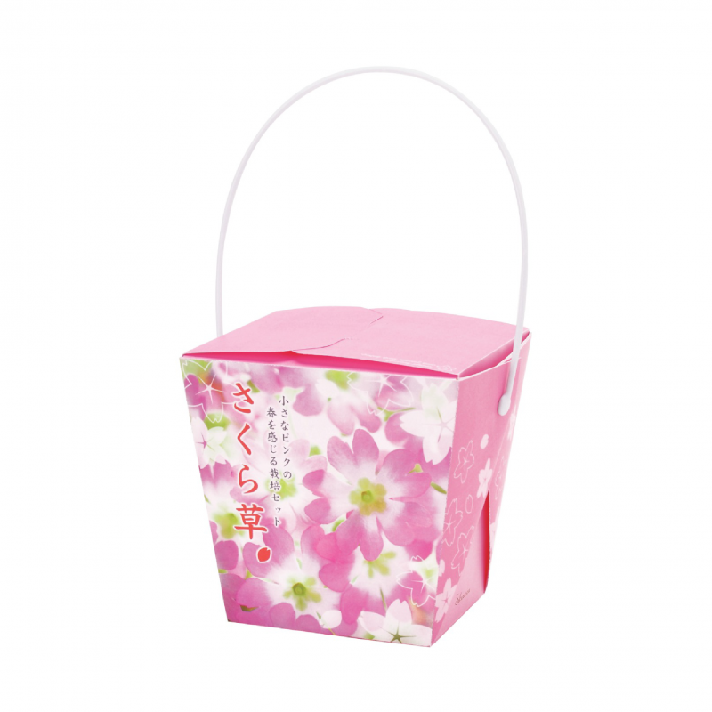 SEISHIN - 日本櫻草｜FLORAL CONTAINER 系列｜家居種植包