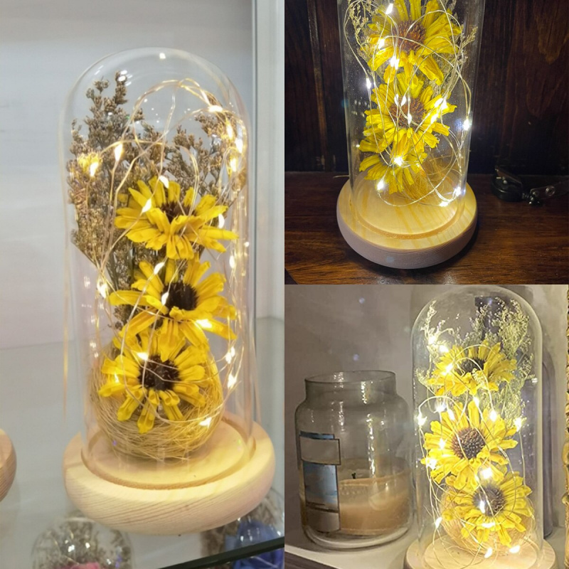 LED太陽乾花聖誕裝飾