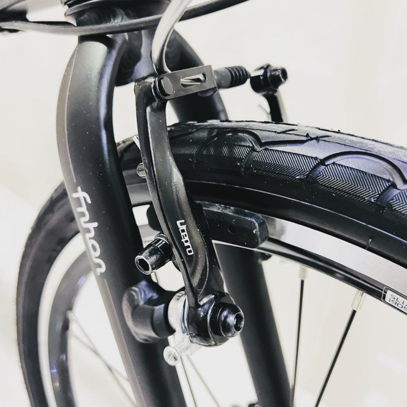 熱門摺車型號 BLAST 全新Fnhon 風行 Litepro 配置 20" 9速超輕量鋁合金V煞摺疊單車 folding bike