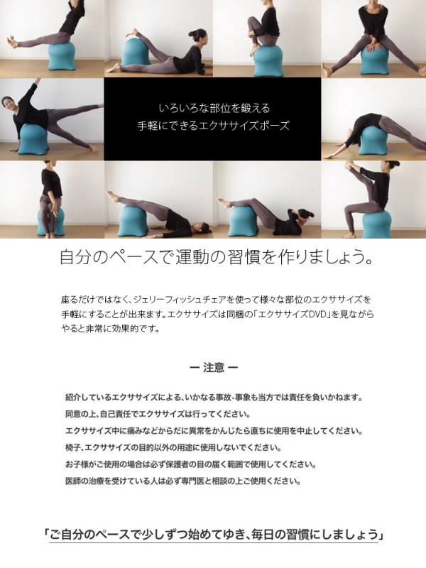 矯正用品・補助ベルト Jellyfish Chair Standard 矯正用品・補助ベルト Jellyfish Chair Standard 日本JELLYFISH CHAIR