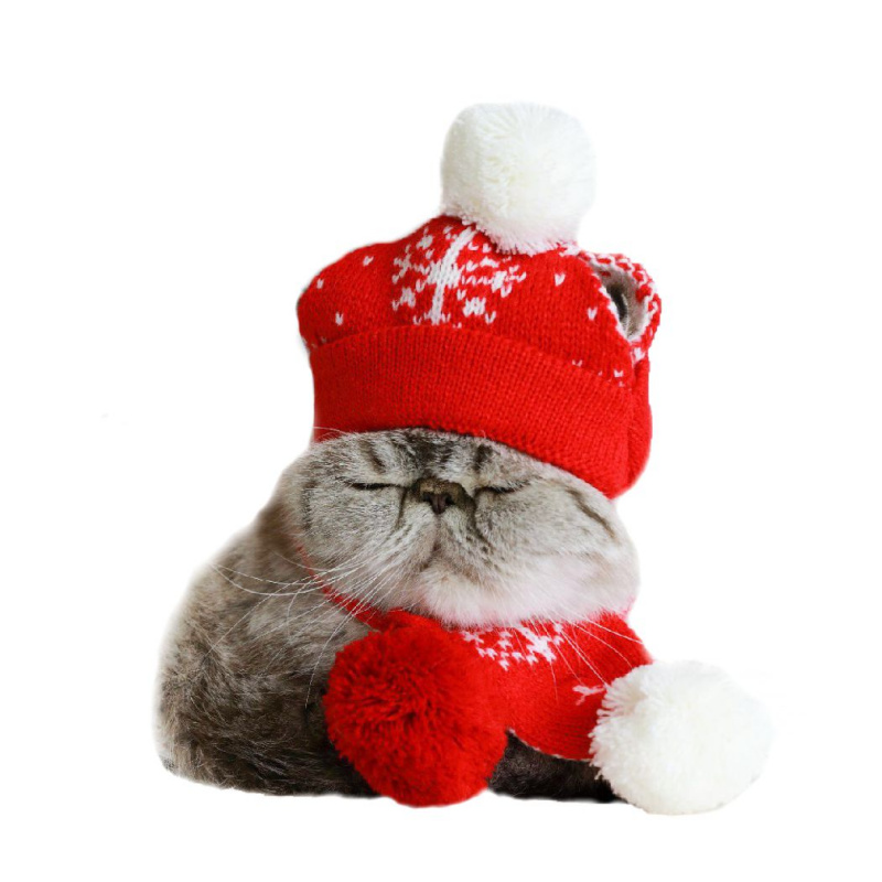 寵物冷帽 冷頸巾 聖誕貓狗冷帽連冷頸巾 [紅白色]