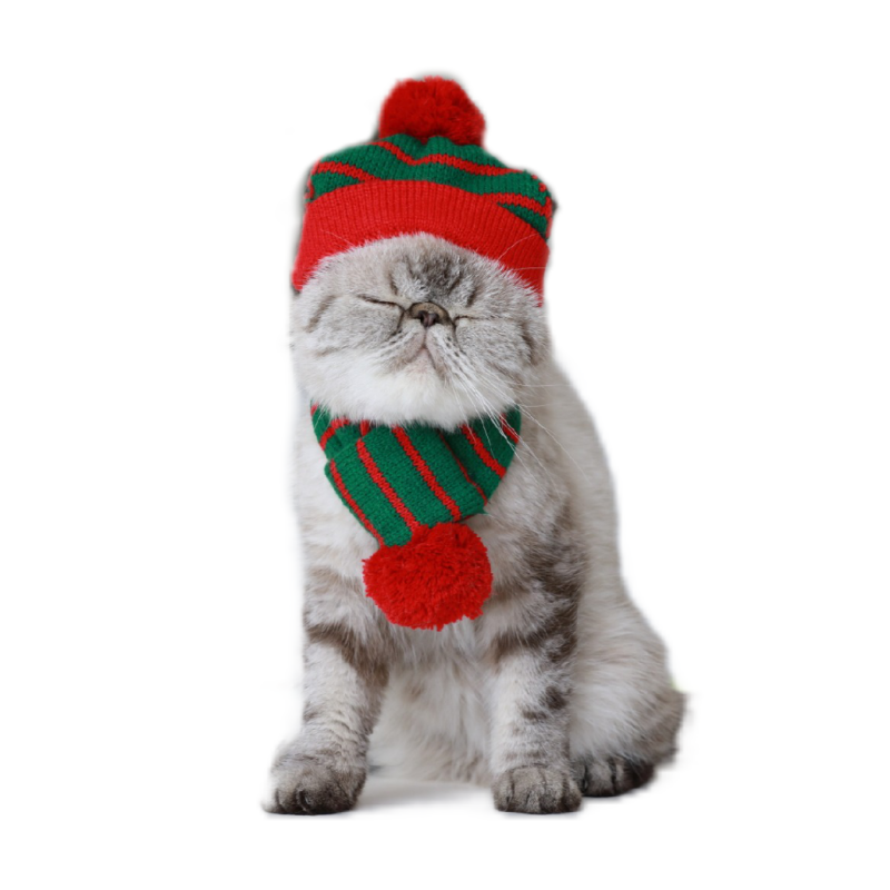 寵物冷帽 聖誕貓狗冷帽連冷頸巾 [綠色]