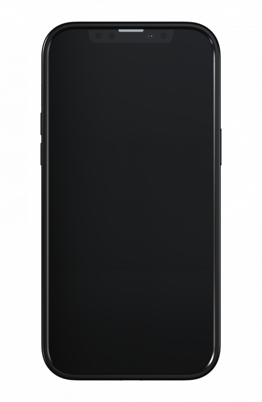 Richmond & finch iPhone 13 Pro Max Case防摔手機殼 - 柔軟獵豹 SOFT LEOPARD - Gold Details (47023)