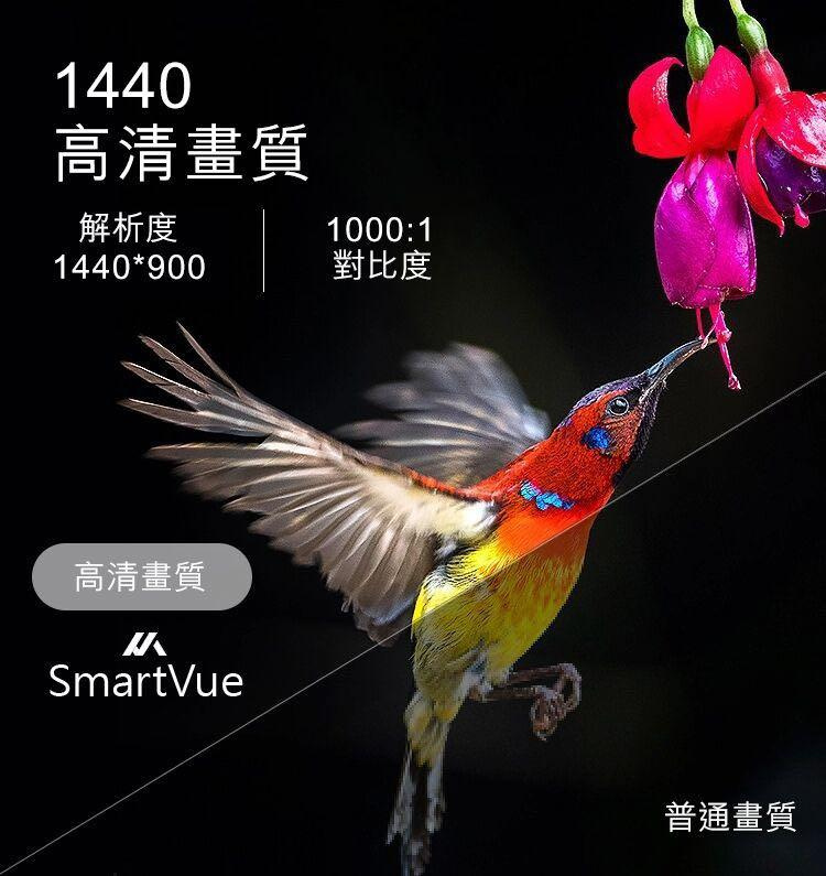 SmartVue SV-LED022 22吋CCTV Monitor 全高清顯示器