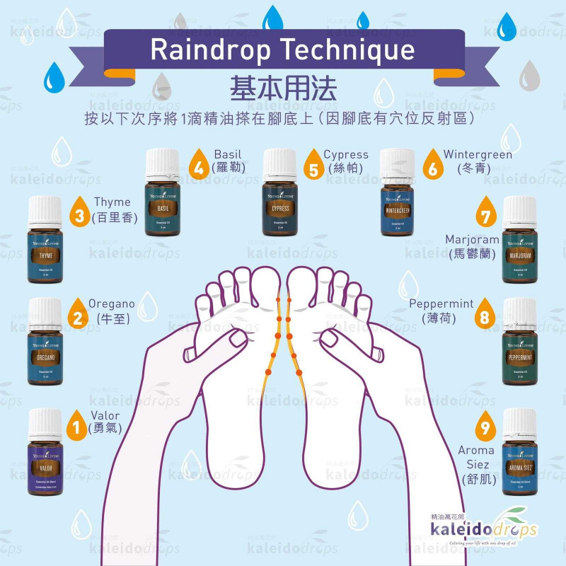 雨滴精油按摩套裝  舒緩痛楚，提升免疫力，全方位保健 RainDrop Massage Kit