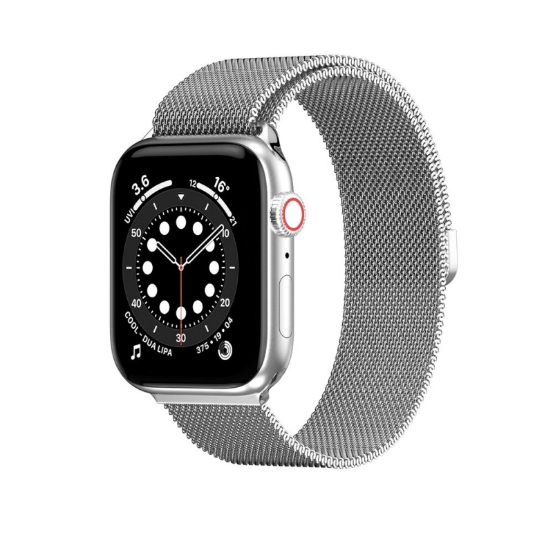 Switcheasy Apple Watch 7/6/5/4/SE (42/44/45mm) Mesh 不鏽鋼磁扣錶帶