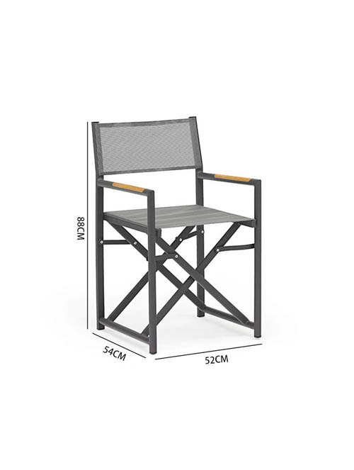 Director Charis Set with Small Table (Grey)