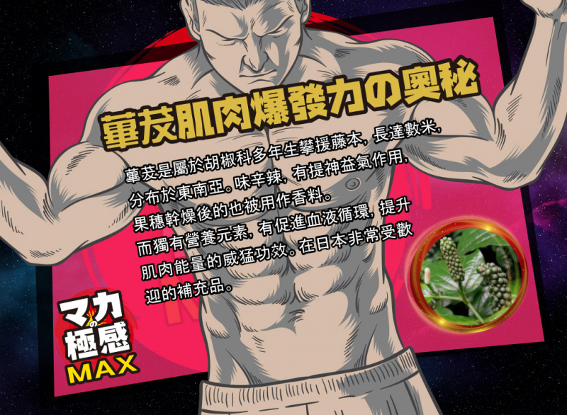 ICHIKI極感MAX (1支)