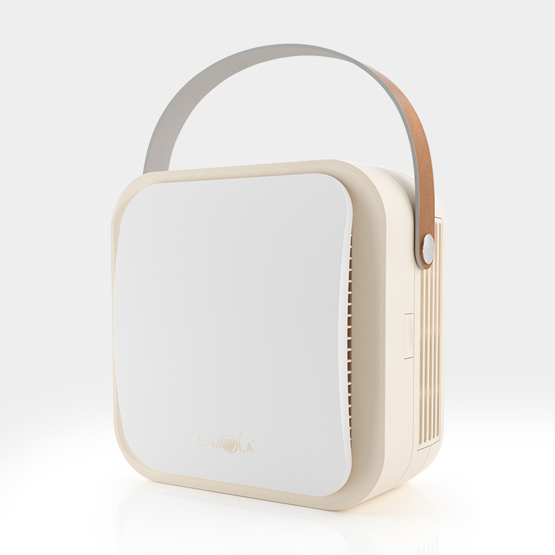 HEPA10 (兩片裝 HEPA 高效濾網)