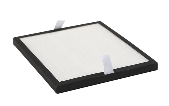 HEPA10 (兩片裝 HEPA 高效濾網)