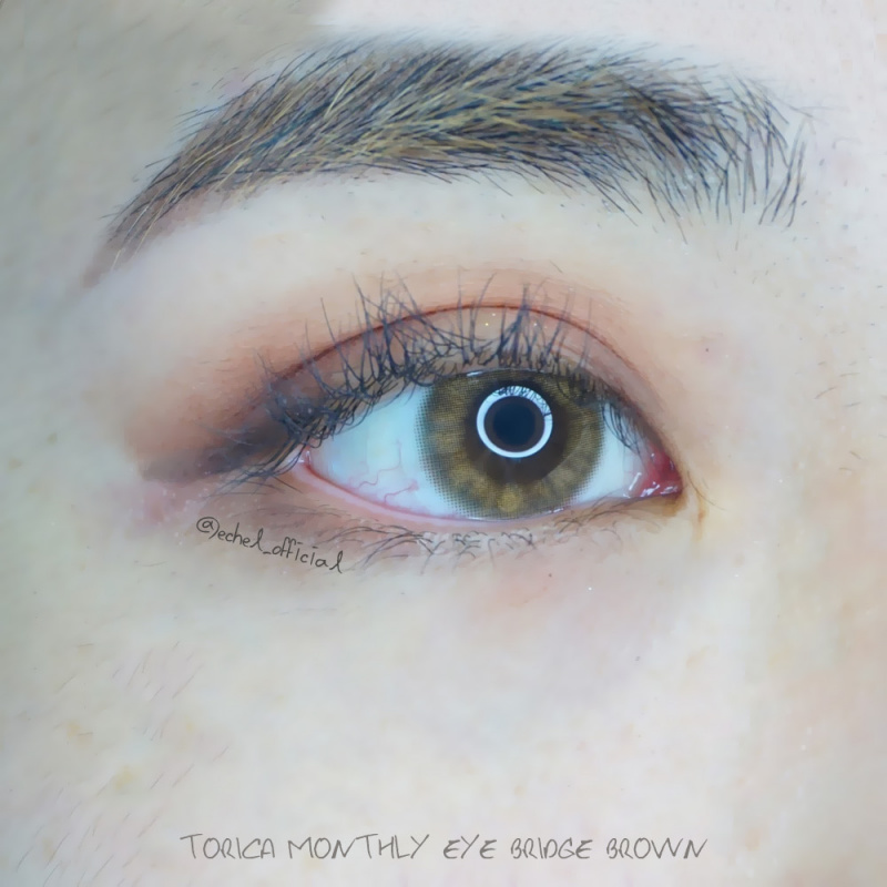 【散光】Torica Eye Bridge Brown 토리카 아이 브릿지 브라운 (난시 교정용) 每月抛棄散光彩妝隱形眼鏡
