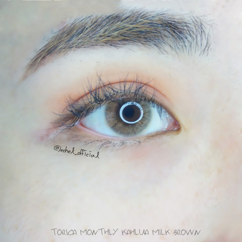 【散光】Torica Kahlua Milk Brown 토리카 칼루아밀크 브라운 (난시 교정용) 每月抛棄散光彩妝隱形眼鏡