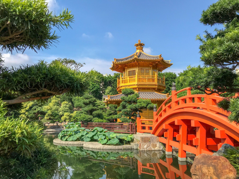 古蹟文化之旅 + 品嚐星級「添好運」飲夜茶體驗