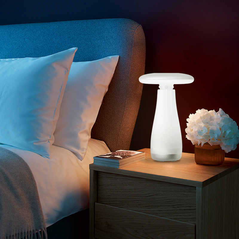 Roome Smart Light 智能燈音樂版