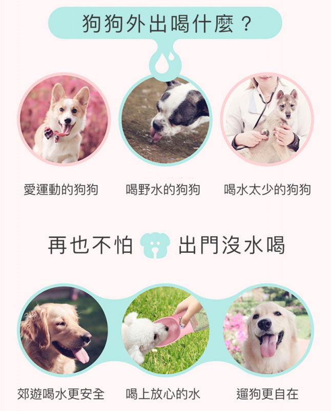 寵物外出隨行杯