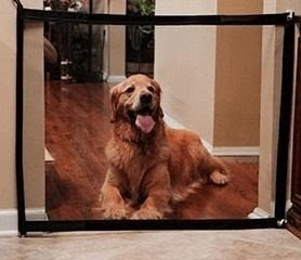 寵物隔離門欄