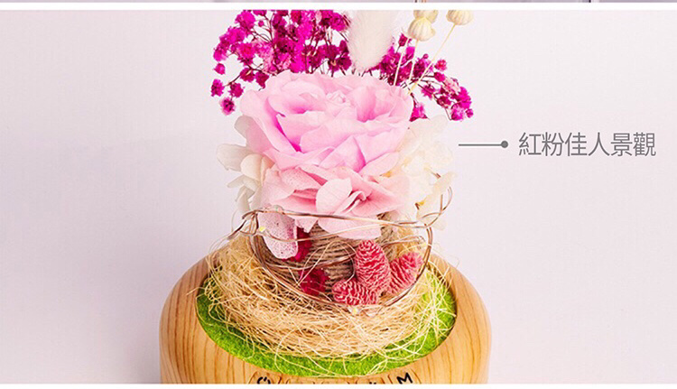 LED永生花許願瓶連藍牙音響 [3款]