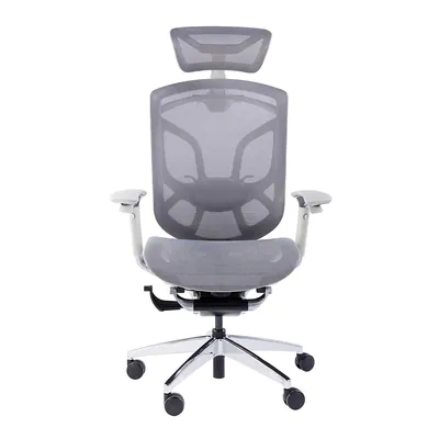GT Chair - DVARY-X 人體工學椅 [2色]