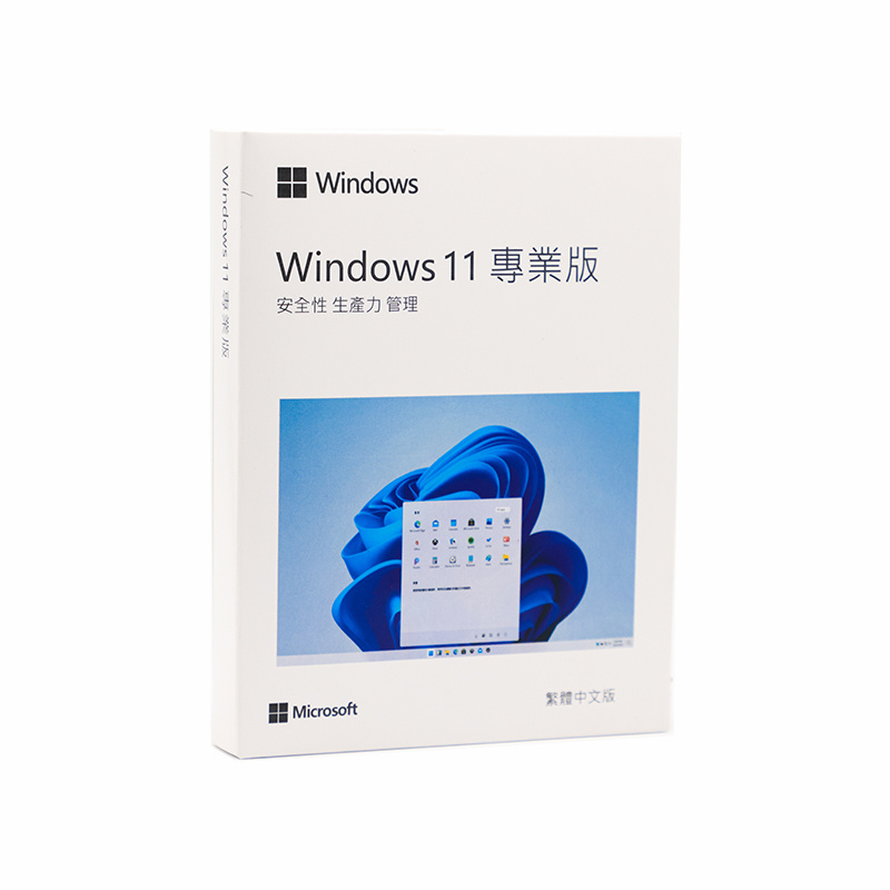 Windows 11 專業版 with USB